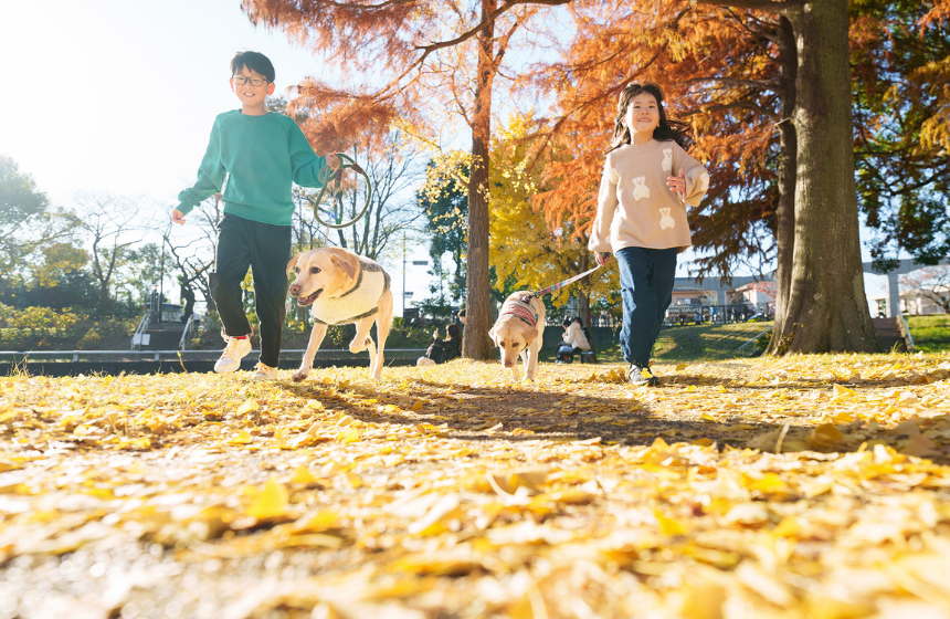 Dog Snapshot R 令和の犬景Vol.55 日本の公園にあふれる